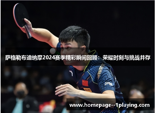 萨格勒布迪纳摩2024赛季精彩瞬间回顾:荣耀时刻与挑战并存 萨格勒布迪纳摩2024赛季精彩瞬间回顾:荣耀时刻与挑战并存