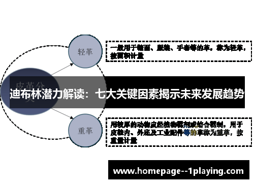 迪布林潜力解读：七大关键因素揭示未来发展趋势
